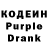 Codein Purple Drank KAMELYANOVA IRINA