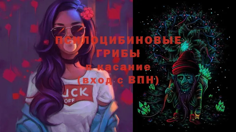 Псилоцибиновые грибы Magic Shrooms  Губкин 